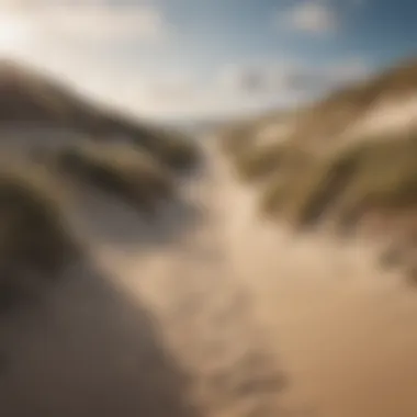 Coastal path lined with dunes