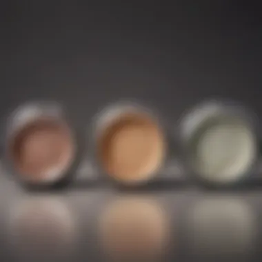 A side-by-side comparison of different top-rated finishing powders, emphasizing their packaging and unique features.