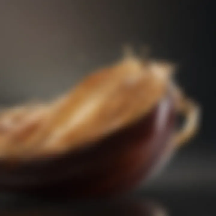 Close-up of key ingredients in hair care products
