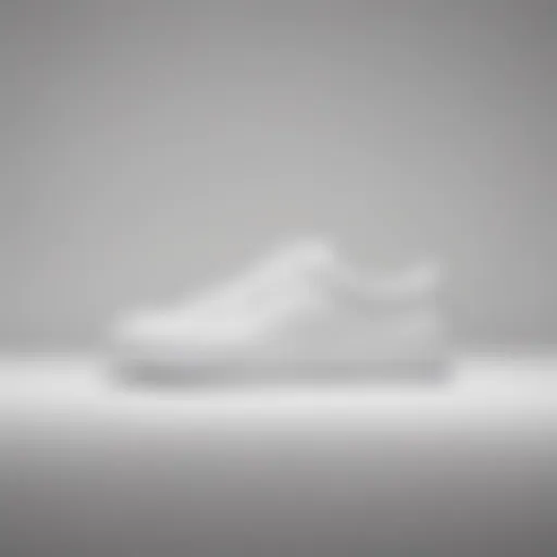 Stylish white sneaker on a minimalist background