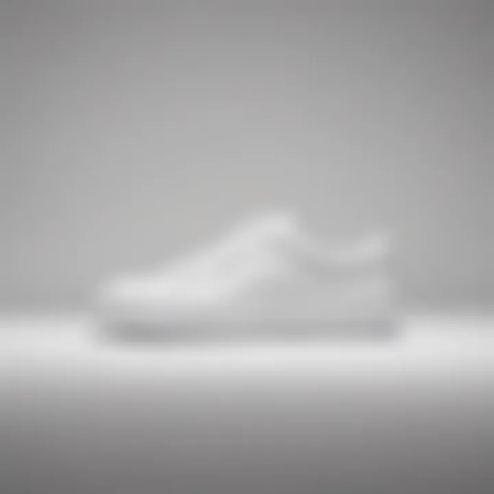 Stylish white sneaker on a minimalist background