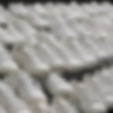 Diverse Collection of White Sneakers Group of various white sneaker models