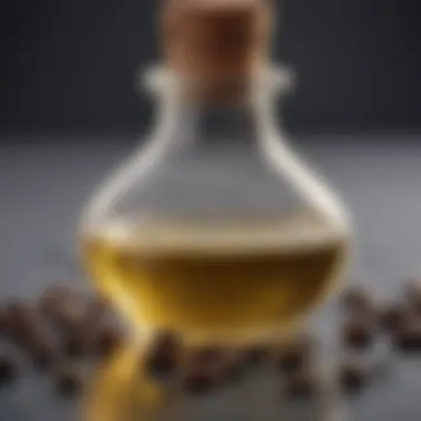 A close-up view of castor oil glass bottle with seeds