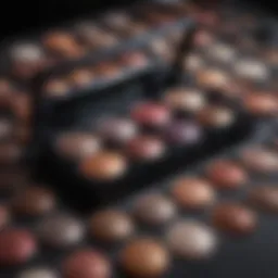 Chantecaille eye shadow palette showcasing rich colors