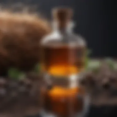 Natural Ingredients for Healthy Hair Natural ingredients for hair oils