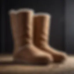 UGG boots before cleaning showing dirt and stains