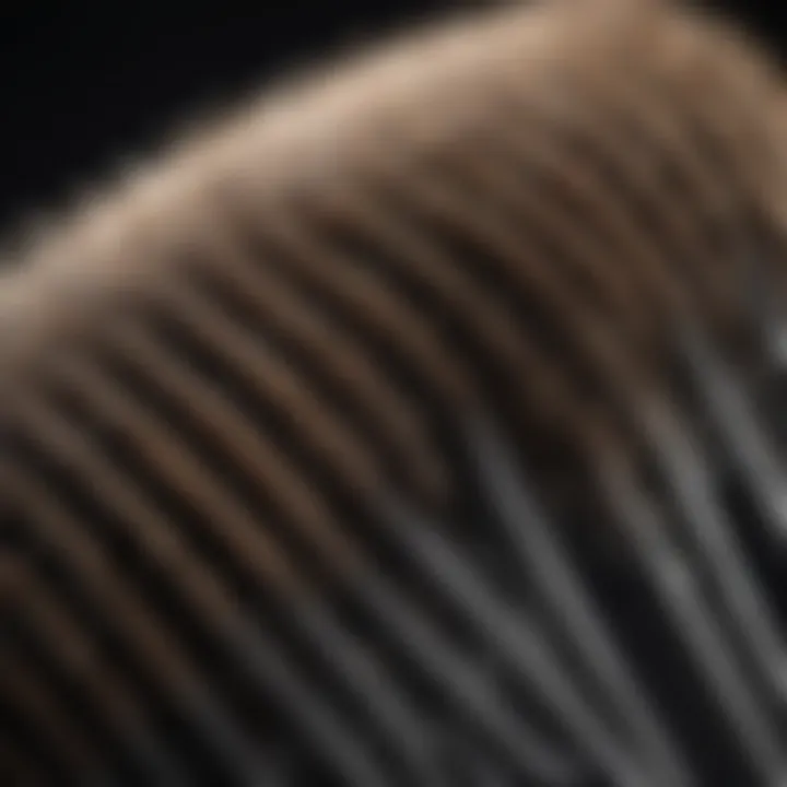 Detailed close-up of bristles and heating elements