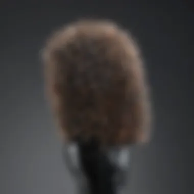 Essential Maintenance Tips for Your Conair Straightening Brush User-friendly maintenance tips illustrated for the Conair straightening brush.