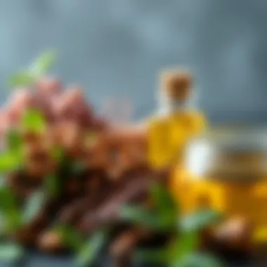 A vibrant close-up of natural hair care ingredients such as herbs and oils