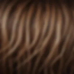 Close-up of hair strands showing texture and health