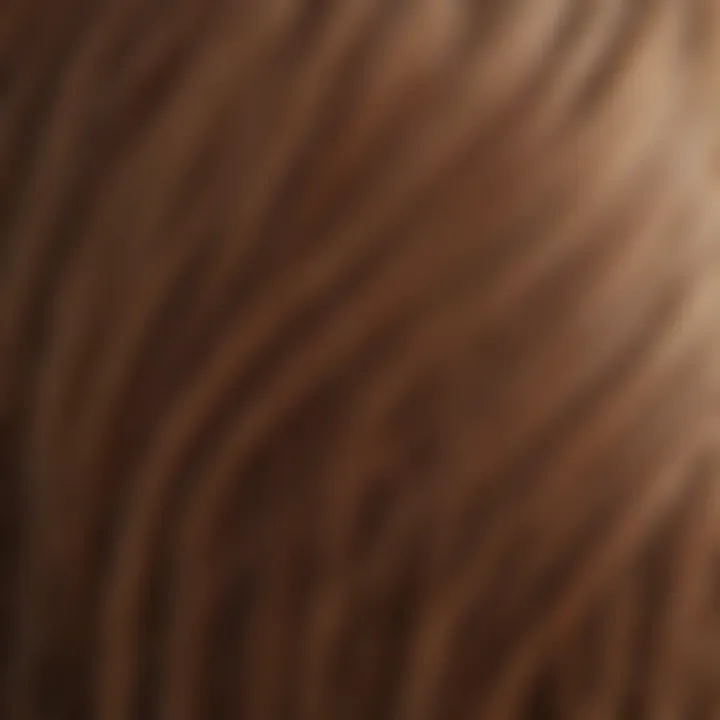 Close-up of healthy hair with vibrant ends