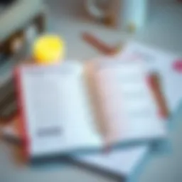 Elegant planner showcasing organized layout and design