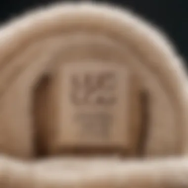 A close-up of a coupon for UGG slippers with a discount label