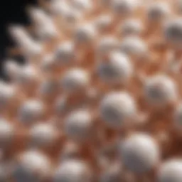 Close-up of ceramide structure showcasing its molecular composition