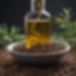 A close-up view of castor oil extracted from seeds