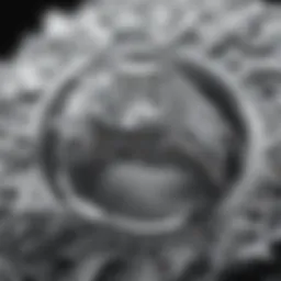 Close-up view of Khloe Kardashian's engagement ring showcasing its intricate details