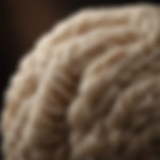 Close-up of merino wool fibers showcasing their softness and texture.