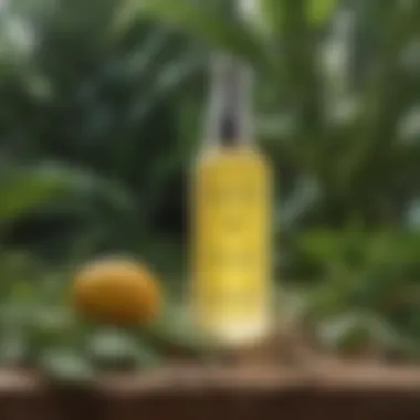 The Essence of Oil-Free Moisturizers Illustration of oil-free moisturizer with niacinamide in a botanical setting