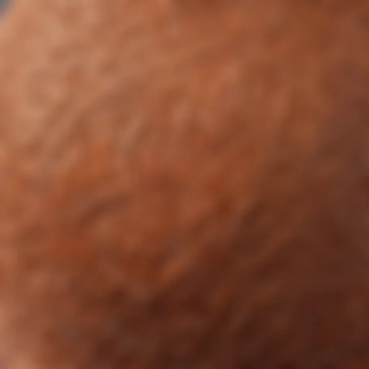 A close-up of intricate swimsuit patterns and textures