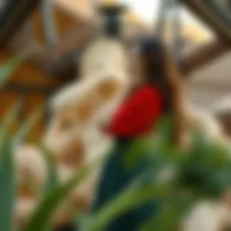Exploring the Anthropologie Vivienne Maxi Dress: A Comprehensive Guide Introduction