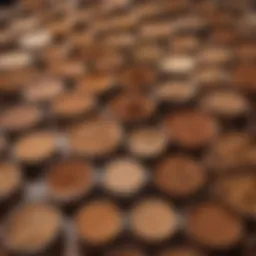 Close-up of natural bronzer powders arranged aesthetically
