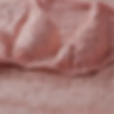 Bralette Fabric Textures Close-up of fabric textures used in bralettes