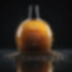 Illustration of crucial shampoo ingredients known for hair growth stimulation