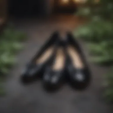Trendy sustainable black flat shoes displayed artistically