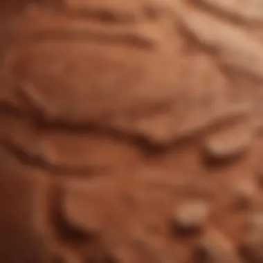 Close-up of terracotta texture highlighting natural material