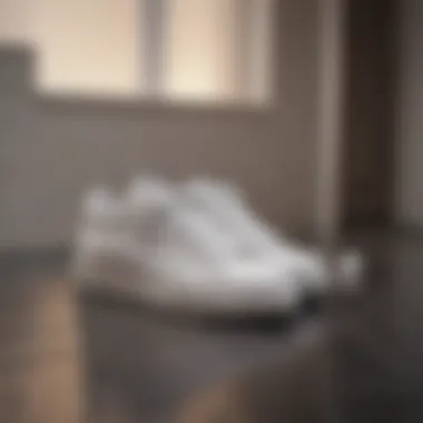 Care Tips for White Shoes White shoes displayed with care products for maintenance