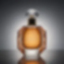 A close-up of an elegant perfume bottle showcasing its unique design.