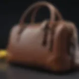 Stylish luxury handbag showcasing Coach's iconic design