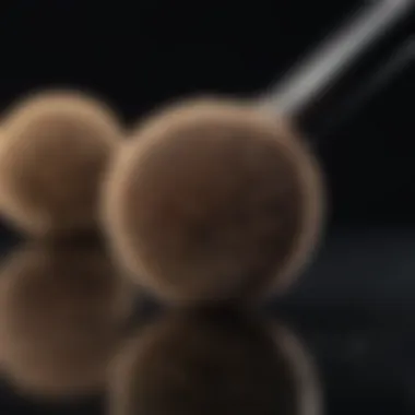 Essential Maintenance Tips for Your Brush Brush maintenance tips for longevity and effectiveness