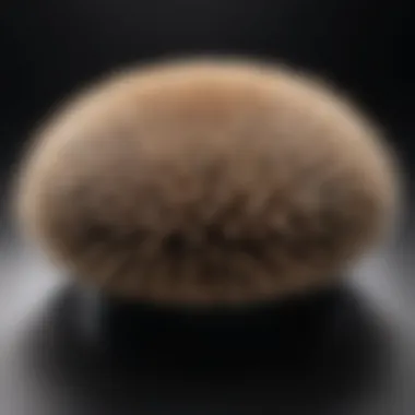 Soft Bristles for Flawless Application High-quality brush showcasing soft bristles for smooth application
