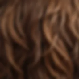 Close-up of diverse hair textures showcasing the beauty of individuality
