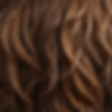 Close-up of diverse hair textures showcasing the beauty of individuality