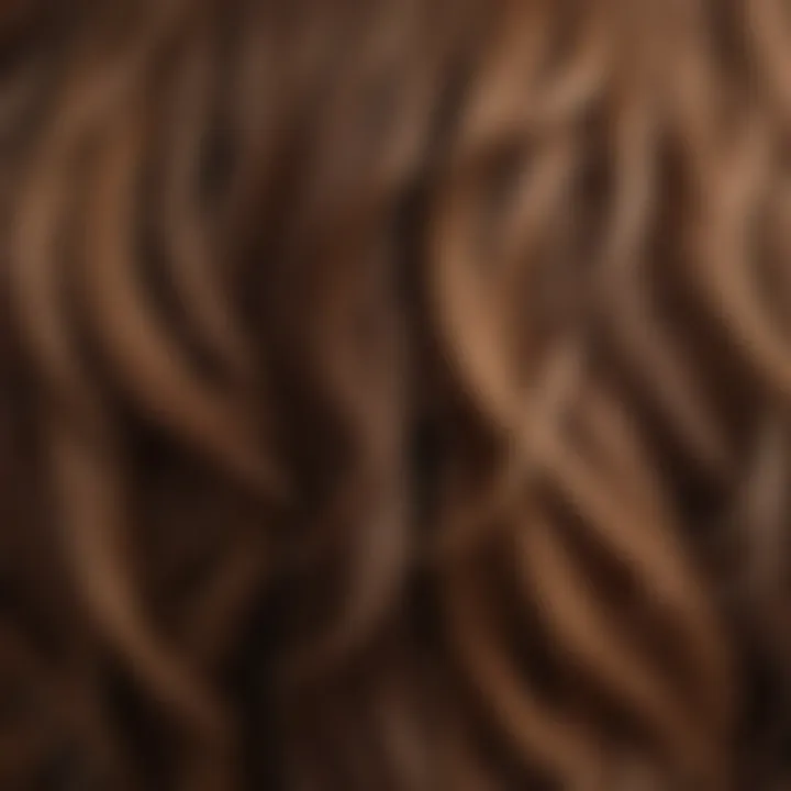 Close-up of diverse hair textures showcasing the beauty of individuality