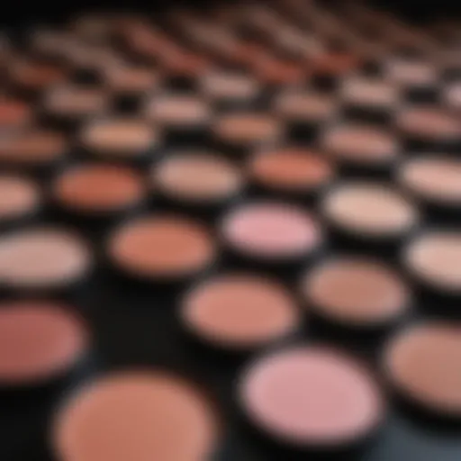 Diverse blush shades for various skin tones