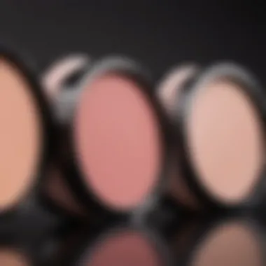 Side-by-side comparison of blush products