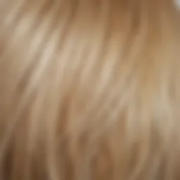 Close-up of damaged hair strands showing signs of bleaching