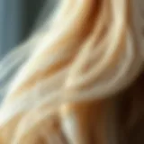 Revitalized hair strands showcasing shine and health