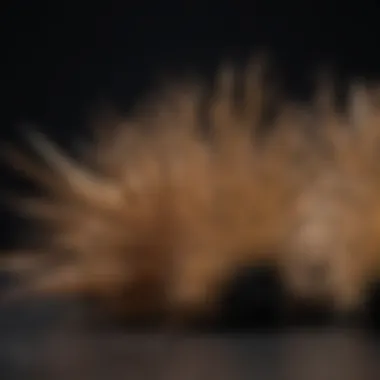 Understanding Brush Materials Different brush materials and their unique textures