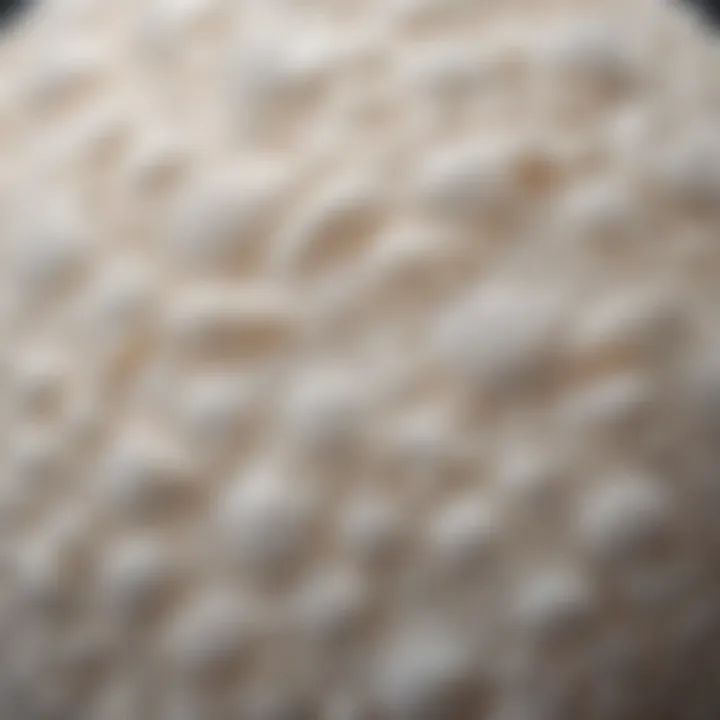 Detailed view of sodium sulfacetamide lotion texture