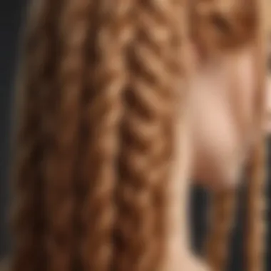 A close-up of strawberry blond hair with intricate braids.