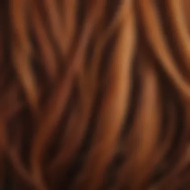 A close-up of hair strands showcasing the richness of color