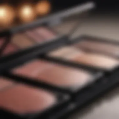 An elegant makeup palette showcasing blush alongside other cosmetic products.