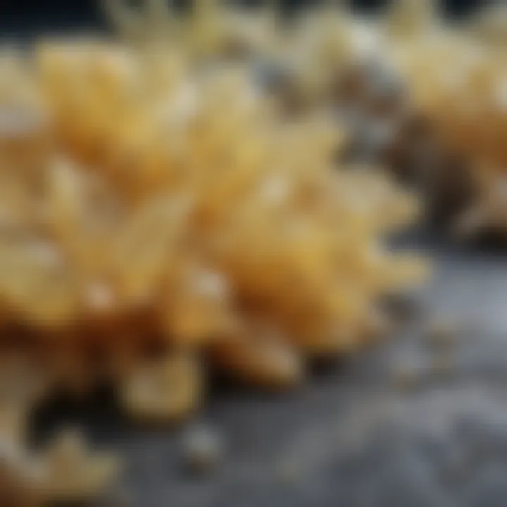 Close-up of sulfur crystals on a surface