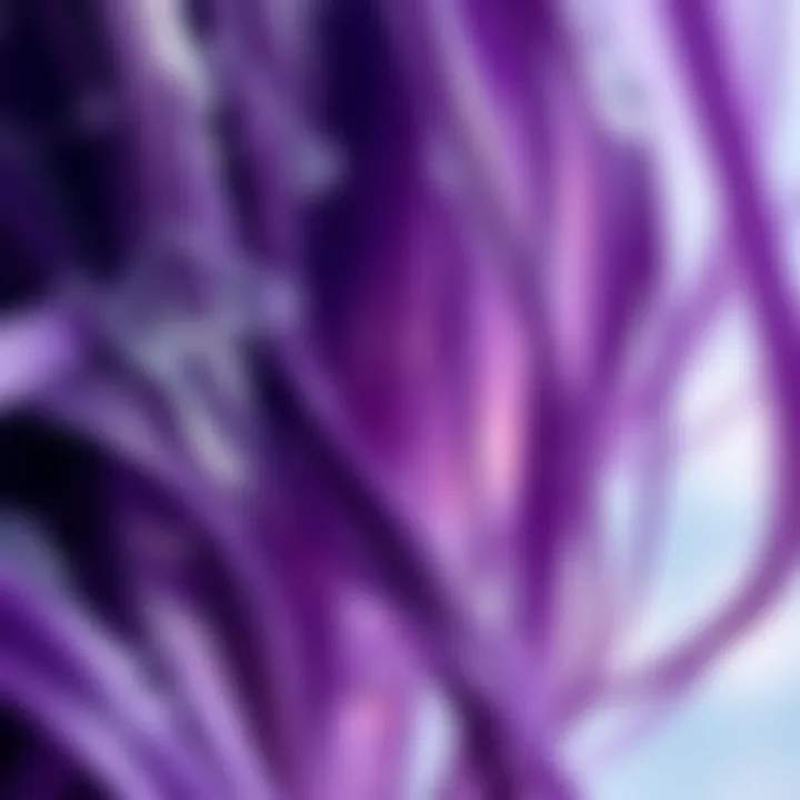 Close-up of purple shampoo lather on hair