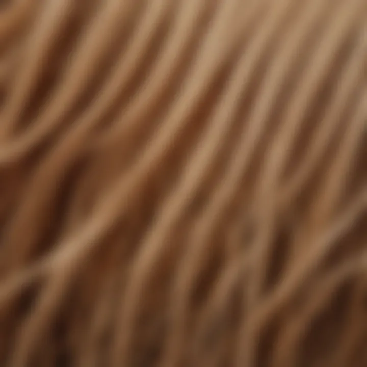 Illustration of hair structure under a microscope