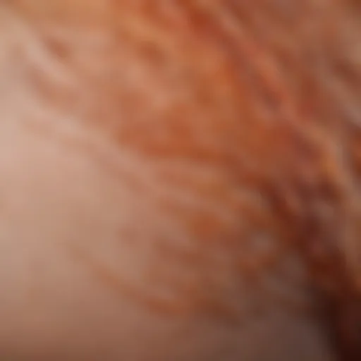 Close-up view of inflamed hair follicles on skin